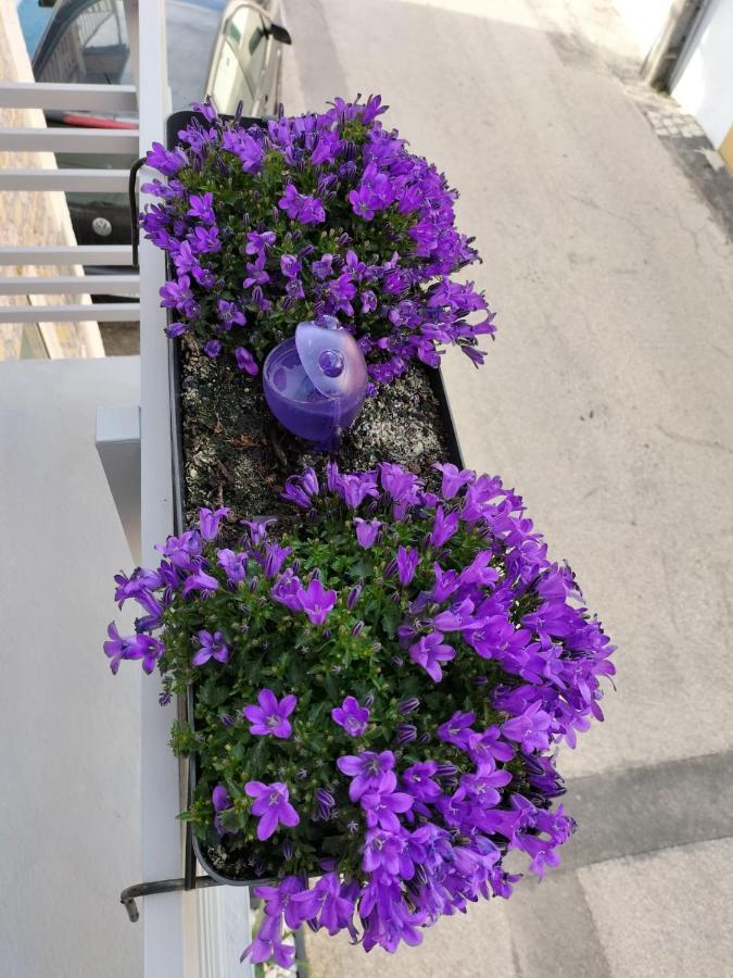 The Violet House Villa Costa Nova Exterior photo